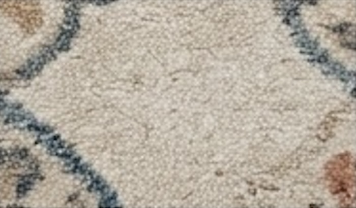 Pet stain after using L·V·X